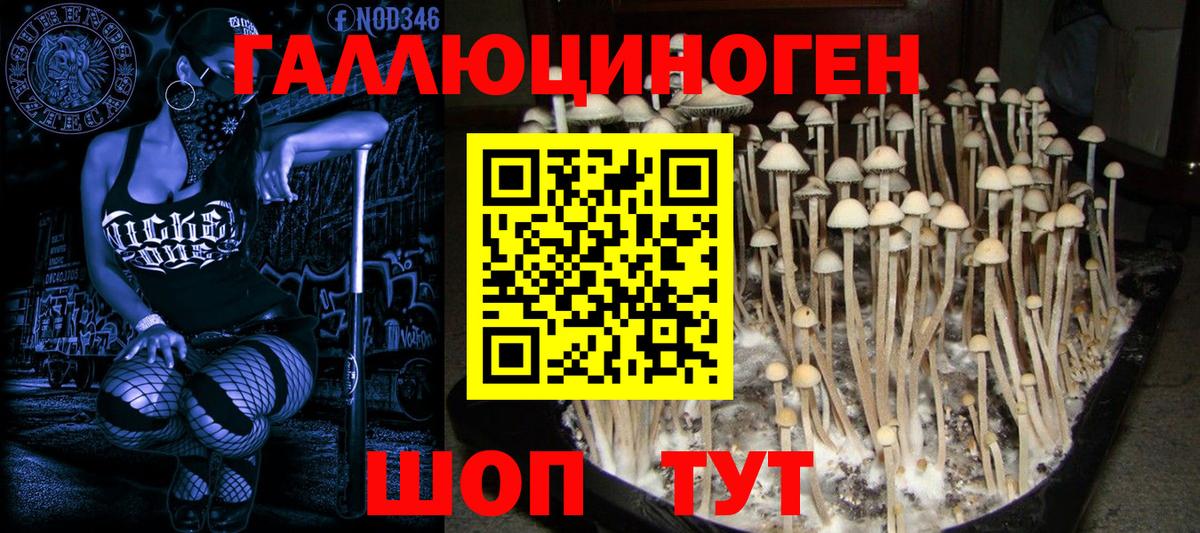 Псилоцибиновые грибы мухоморы  Псилоцибиновые грибы MAGIC MUSHROOMS  Калуга  Вход с VPN 